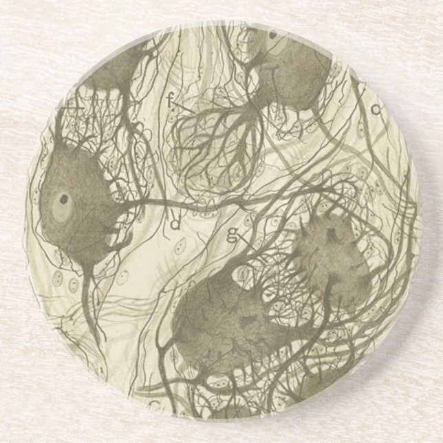 Dessous De Verre En Grès Les neurones 6 de Cajal (Devant)