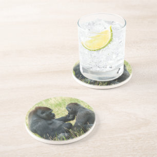 Dessous De Verre En Grès L'éternel frère Gorilla