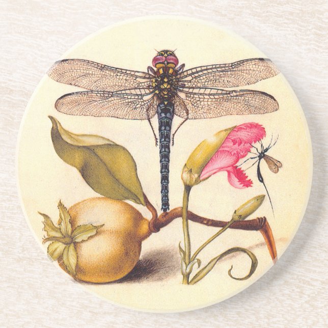 Dessous De Verre En Grès Libellule Nature Botanique Faune (Devant)