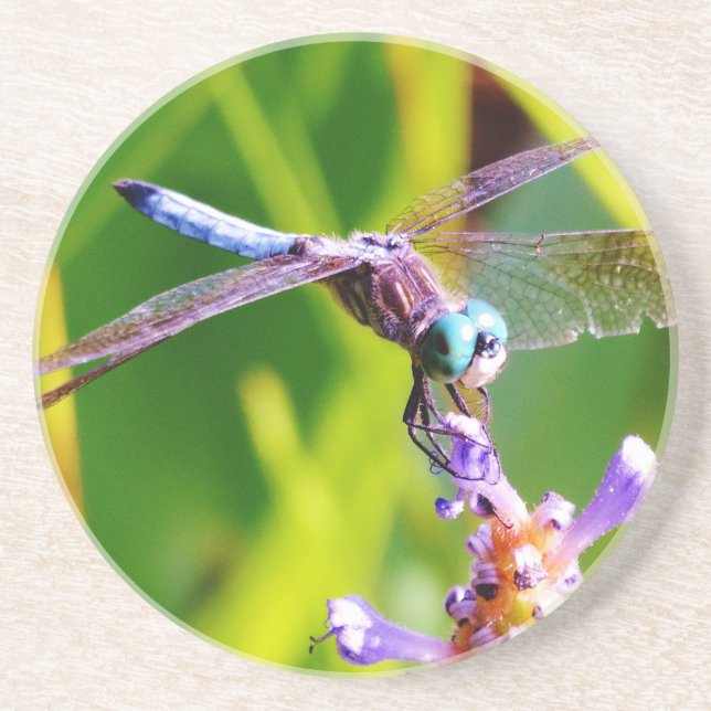 Dessous De Verre En Grès libellule turquoise et violette (Devant)