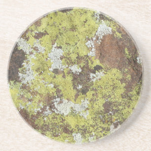 Dessous De Verre En Grès Lichen jaune et blanc sur le grès Camo naturel