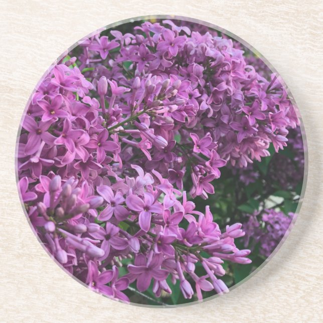 Dessous De Verre En Grès lilas rose violet | photo florale rose romantique (Devant)