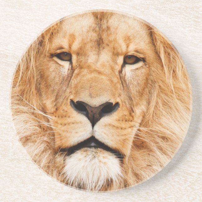 Dessous De Verre En Grès Lion (Devant)