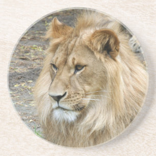 Dessous De Verre En Grès Lion 011