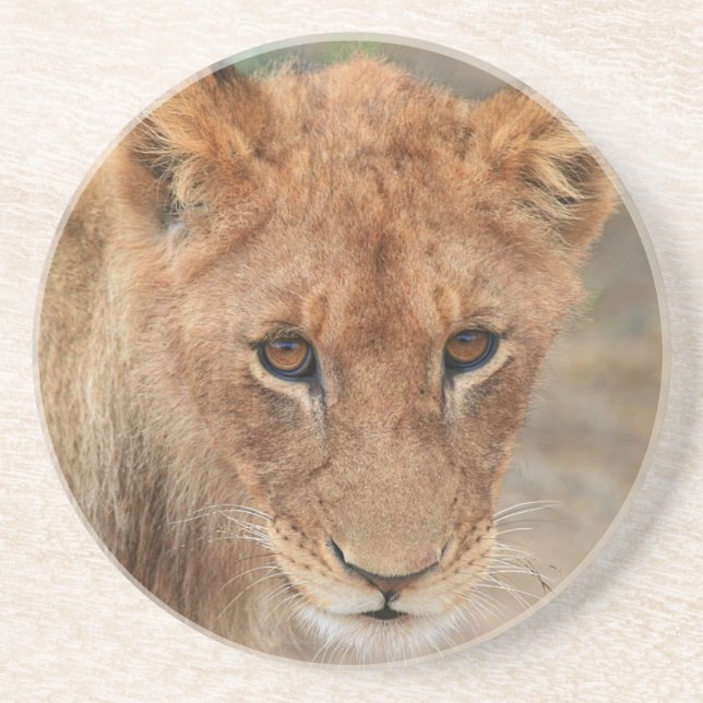 Dessous De Verre En Grès Lion CUB (Devant)