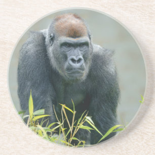 Dessous De Verre En Grès Lope de Gorilla Blackback
