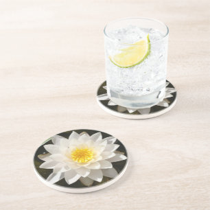 Dessous De Verre En Grès Lotus Nénuphar Blanc Flottant