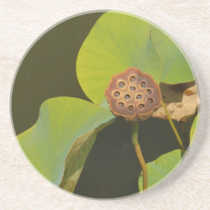 Dessous De Verre En Grès Lotus Pod et Lilly Pad
