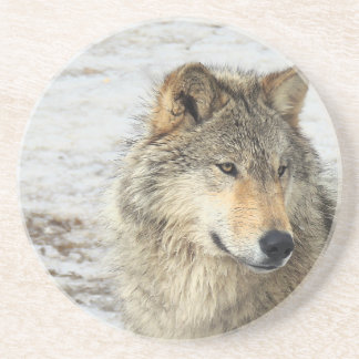 Dessous De Verre En Grès Loup gris