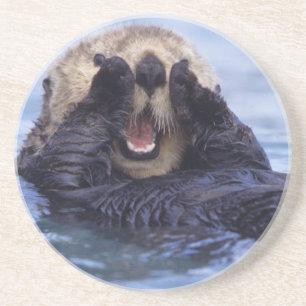 Dessous De Verre En Grès Loupe de mer   Alaska, USA