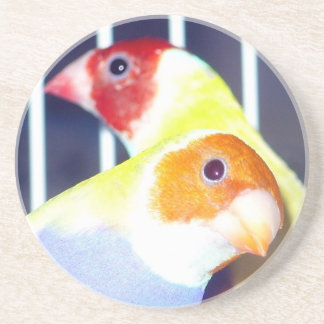 Dessous De Verre En Grès Madame Gouldian Finch