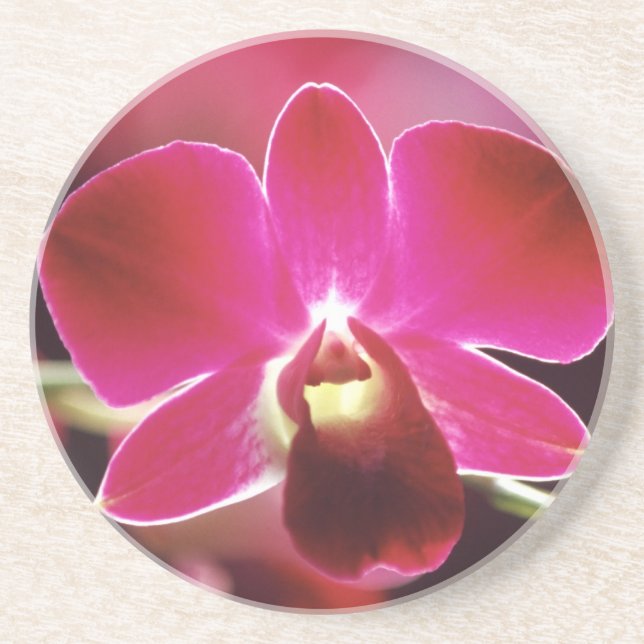 Dessous De Verre En Grès Malaisie, Orchidée (Devant)