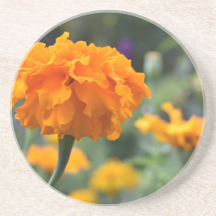 Dessous De Verre En Grès Marigold Orange Fleur Nature Jardin photographique
