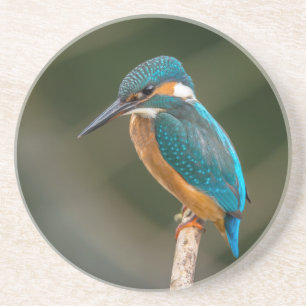 Dessous De Verre En Grès Martin-pêcheur