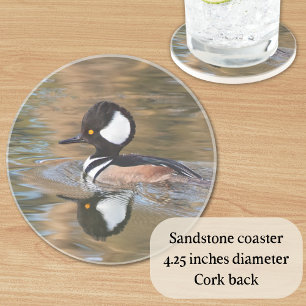 Dessous De Verre En Grès Merganser à capuchon mâle nager sur le ruisseau
