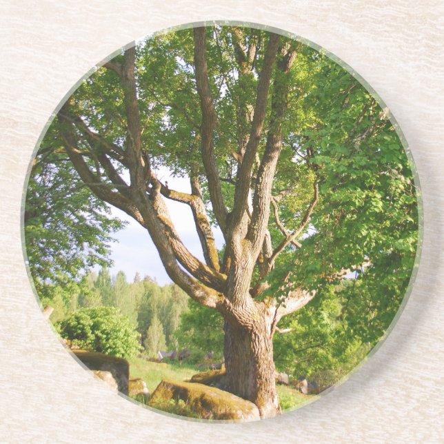 Dessous De Verre En Grès Mi-été Lumière Småland (Devant)