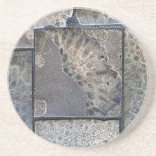 Dessous De Verre En Grès Michigan Petoskey Stone