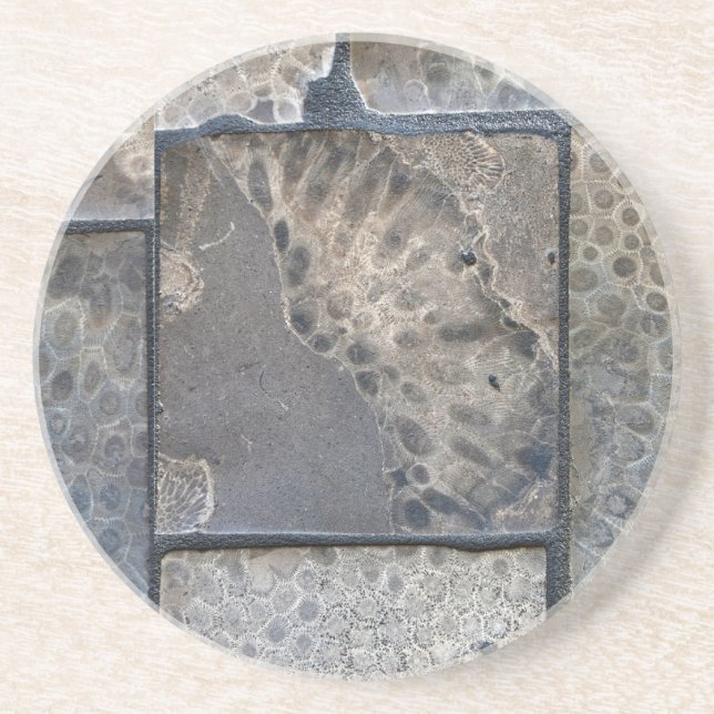 Dessous De Verre En Grès Michigan Petoskey Stone (Devant)