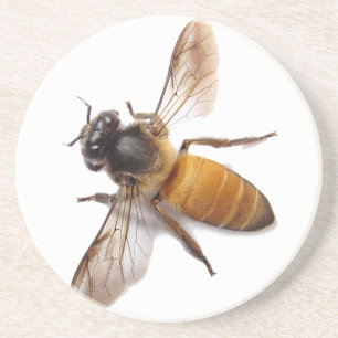 Dessous De Verre En Grès Mignonne abeille mellifère abeille bourdon 