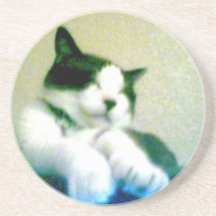 minou avec du recul mignon