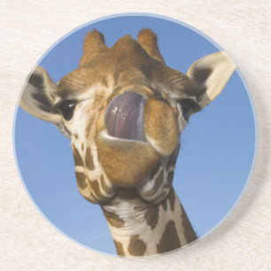 Dessous De Verre En Grès Mmmm Mmmmm bon