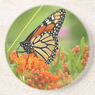 Dessous De Verre En Grès Monarque sur l'herbe papillon