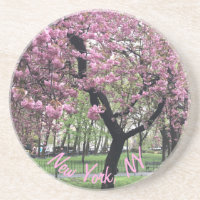 New York, NY Manhattan, arbre en fleurs de cerisie