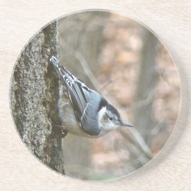 Dessous De Verre En Grès Oiseau chanteur gris ardoise (Devant)