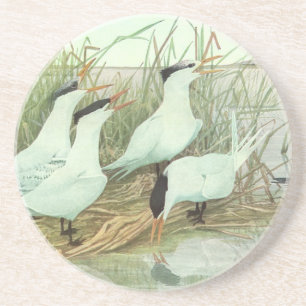 Dessous De Verre En Grès Oiseaux de rivage vintage dans un marais par Louis