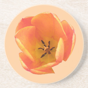 Dessous De Verre En Grès Orange Tulip Coasters