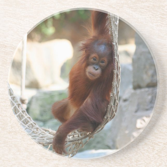 Dessous De Verre En Grès OrangUtan 001 (Devant)