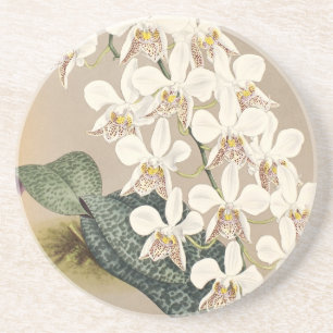 Dessous De Verre En Grès Orchidées