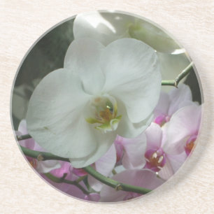Dessous De Verre En Grès Orchidées blanches et violettes