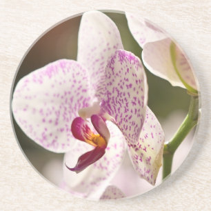 Dessous De Verre En Grès Orchidées par Shirley Taylor