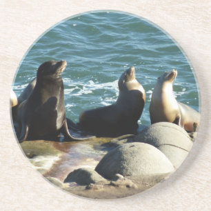 Dessous De Verre En Grès Otaries de San Diego