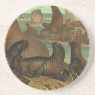 Dessous De Verre En Grès Otaries sur la plage, Animaux de la vie marine vin