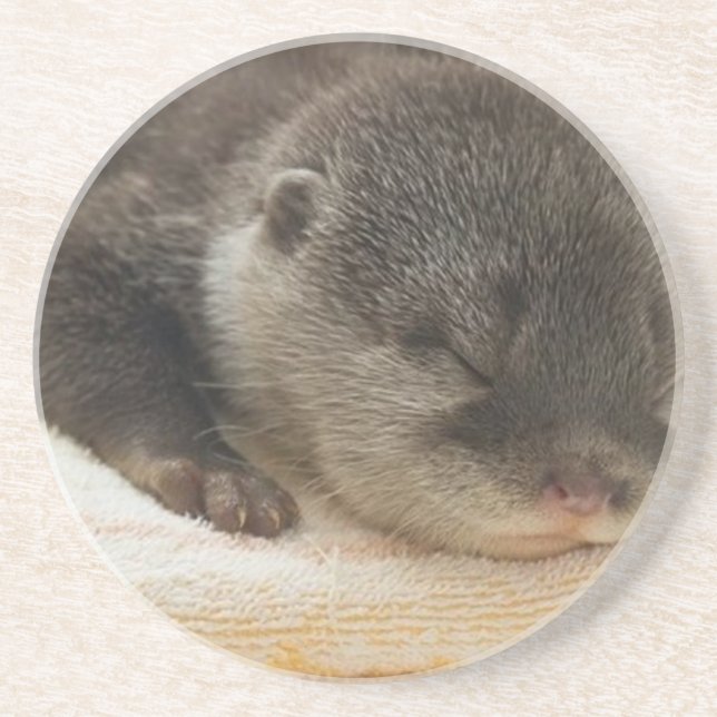 Dessous De Verre En Grès Otter endormi (Devant)