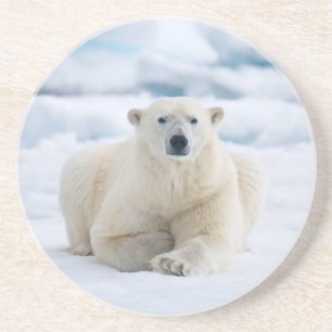 Dessous De Verre En Grès Ours polaire adulte sur la banquise estivale