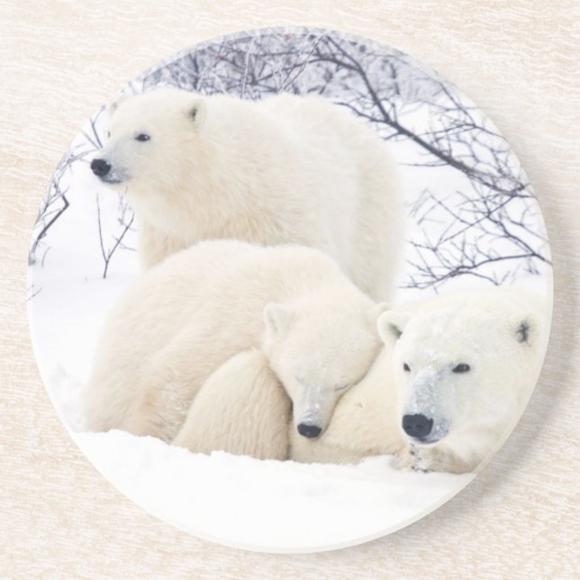 Dessous De Verre En Grès Ours polaire femelle et deux petits (Devant)