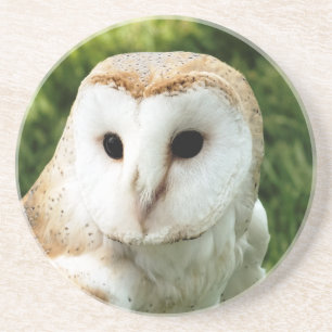 DESSOUS DE VERRE EN GRÈS OWLS