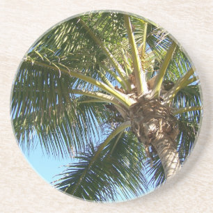 Dessous De Verre En Grès Palmier à coco