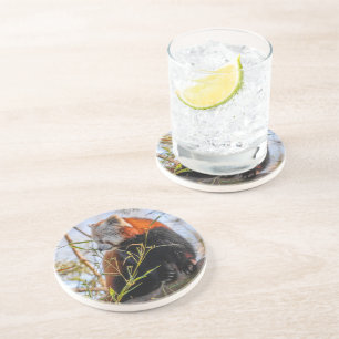 Dessous De Verre En Grès Panda rouge