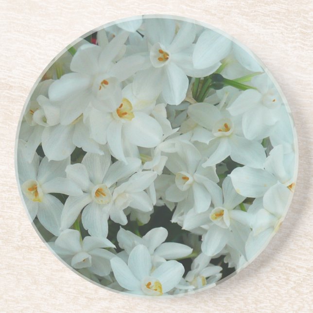 Dessous De Verre En Grès Paperwhite Narcissus Fleurs blanches délicates (Devant)