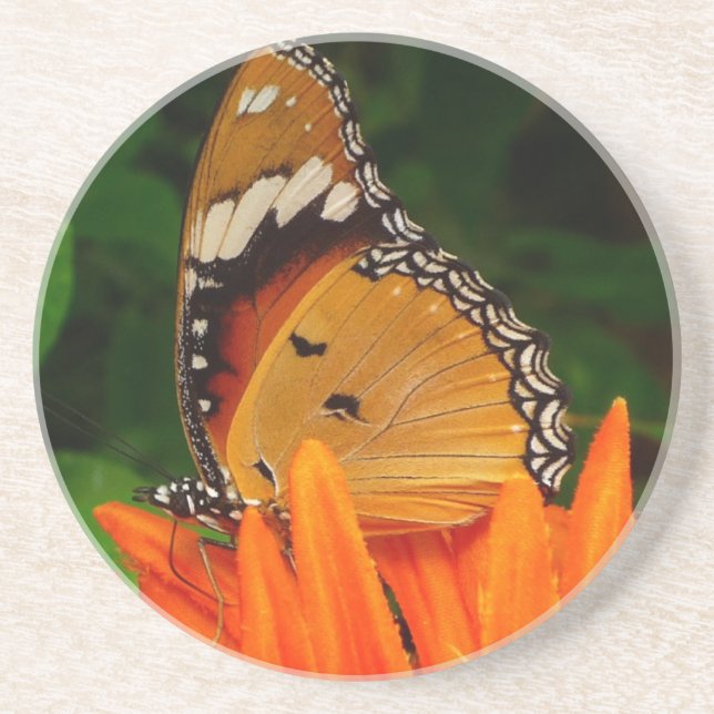Dessous De Verre En Grès Papillon (Devant)