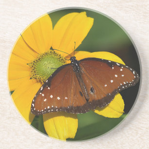 Dessous De Verre En Grès Papillon de la reine sur la fleur jaune