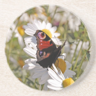 Dessous De Verre En Grès Papillon noir violet rouge sur les marguerites