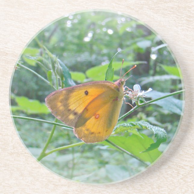 Dessous De Verre En Grès Papillon Sulpher (Devant)