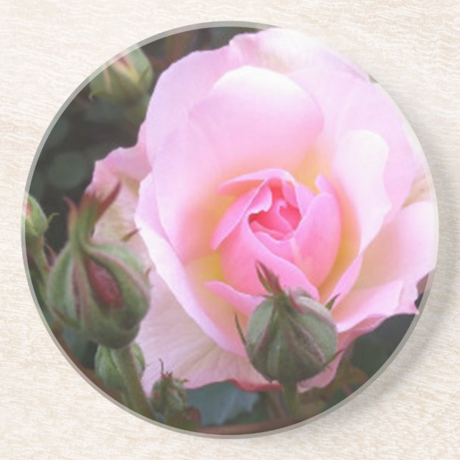 Dessous De Verre En Grès Parfait Rose anglais rose (Devant)