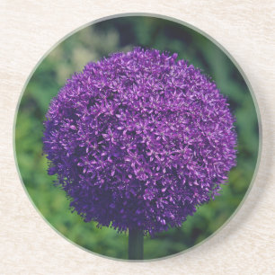 Dessous De Verre En Grès Parfait Violet Allium Flower Aesthétique