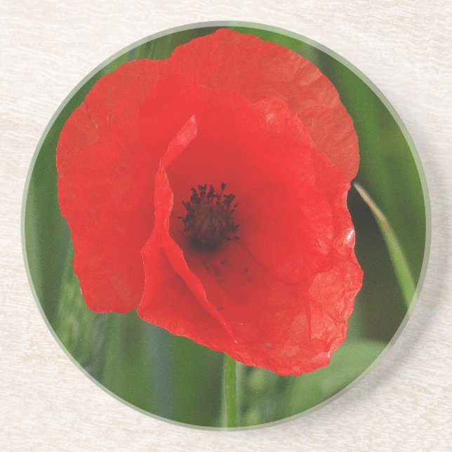 Dessous De Verre En Grès Pavot (Devant)